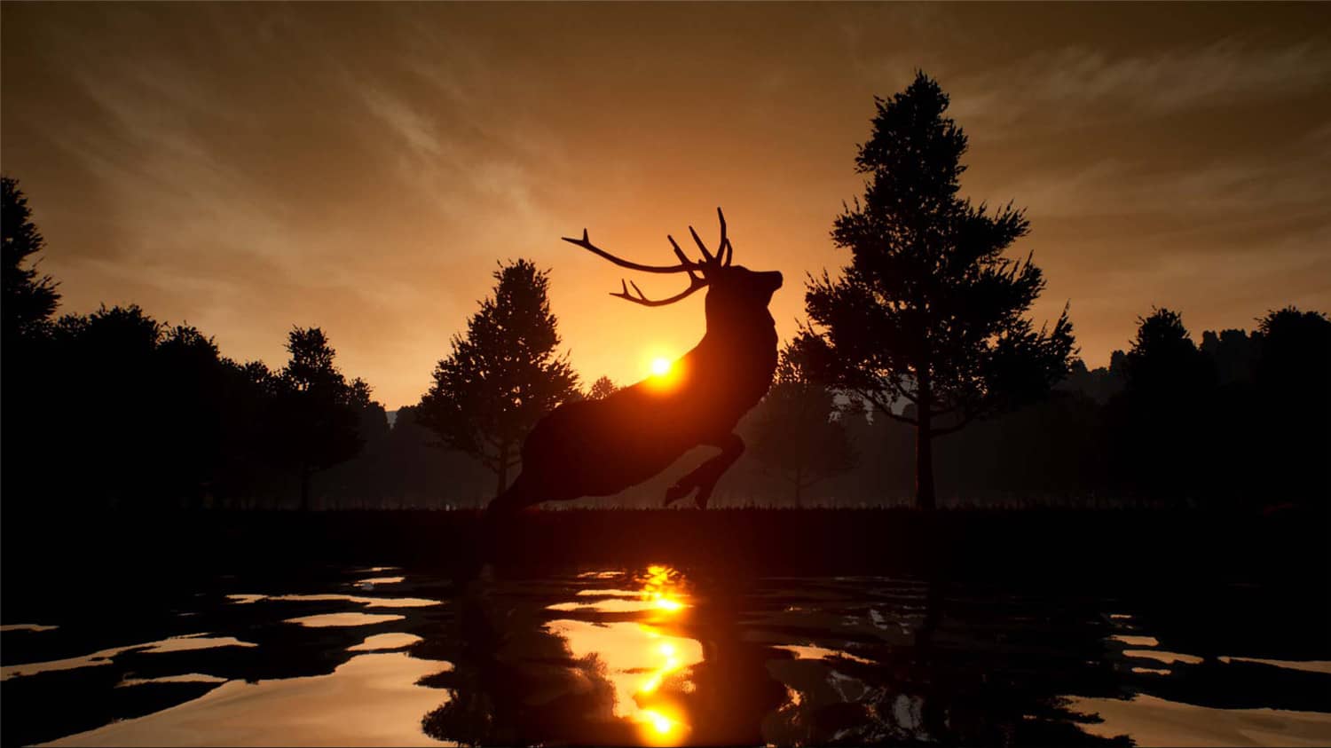 鹿之旅/Deer Journey插图1