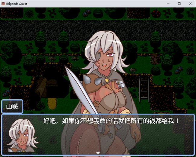 山贼/Brigands Quest ver1.02 汉化版 日系RPG游戏 900M插图3